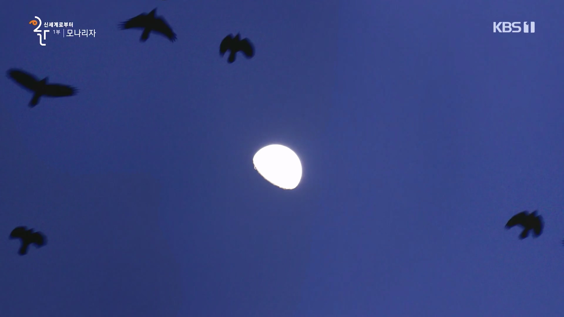 다큐 인사이트.E170.231109p.H264-F1RST.mp4_20231110_210614.211.jpg