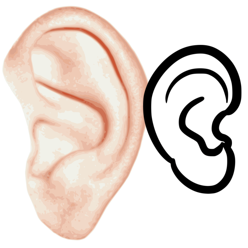 이명 증상 원인과 예방법