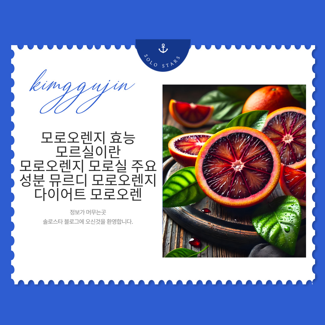 모로오렌지 그림
