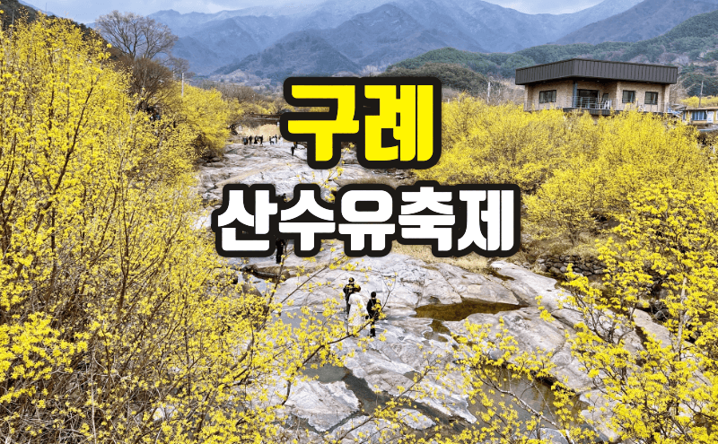 2023 구례 산수유축제 기간&#44; 개화시기&#44; 산수유마을 펜션&#44; 숙소&#44; 맛집&#44; 무료 주차장 정보.