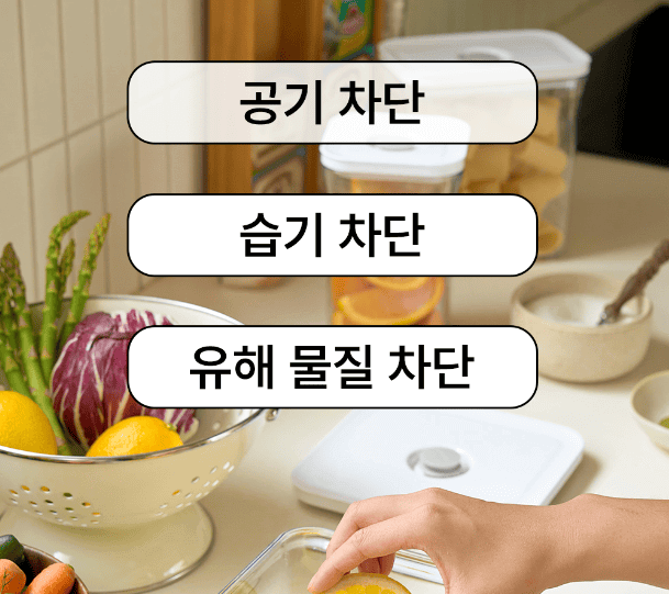 출처:바퀜 진공용기