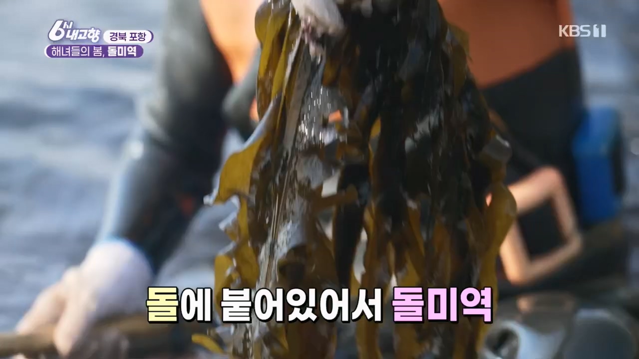 6시 내고향.E7763.230411p.H264-F1RST.mp4_20230411_203310.667.jpg