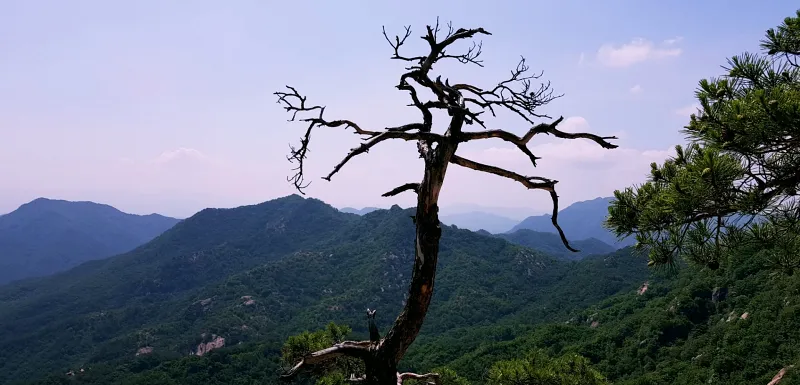 금산 천태산