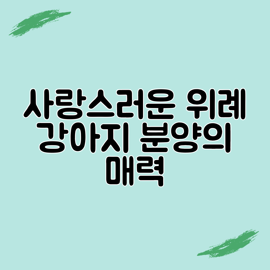사랑스러운 위례 강아지 분양의 매력