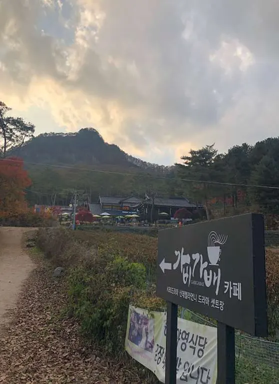 가비가배