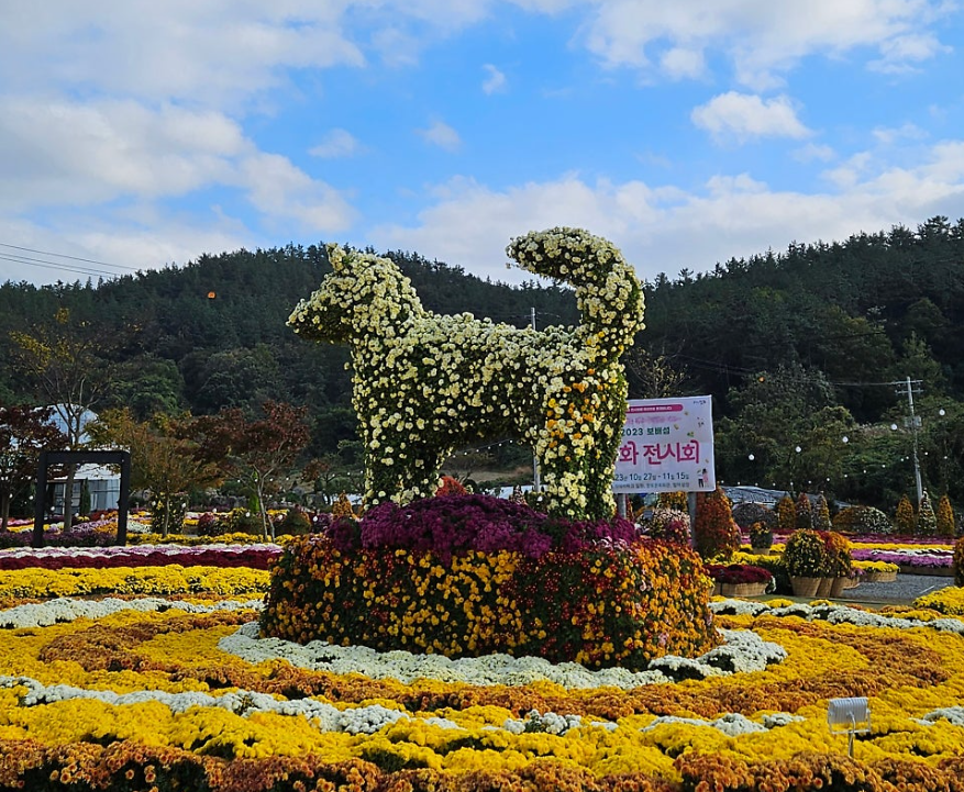  국화축제 2