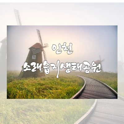  인천 여행 - 일출 사진 찍기 좋은 명소 "소래습지생태공원"