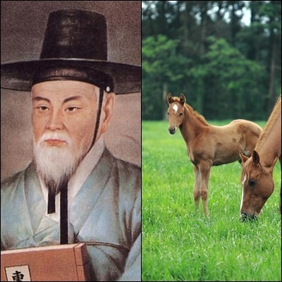  이제마 일화, 제주도 말을 얻었다하여 제마(濟馬)