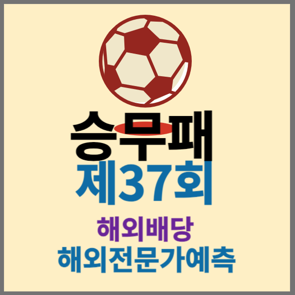승무패37회 포항 대전