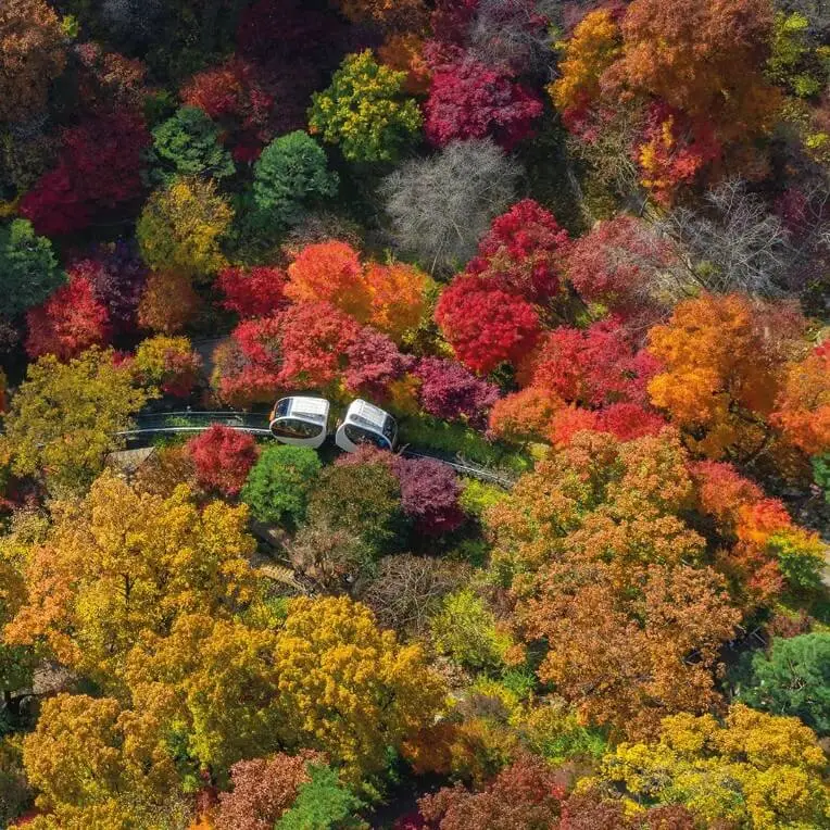 모노레일