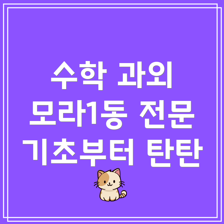 부산 사상구 모라1동 중등 수학 과외