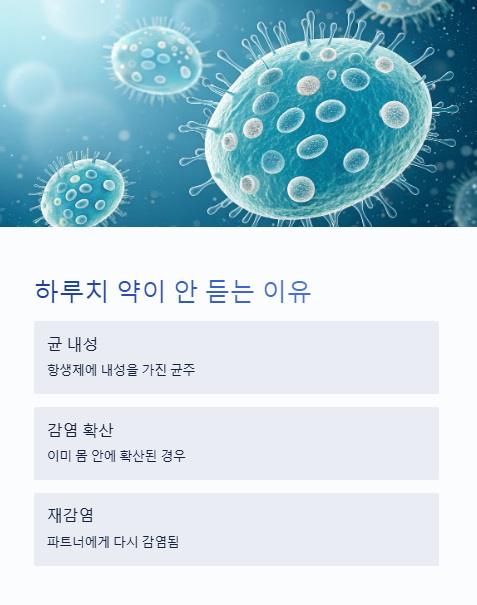 하루치 약이 안 듣는 이유