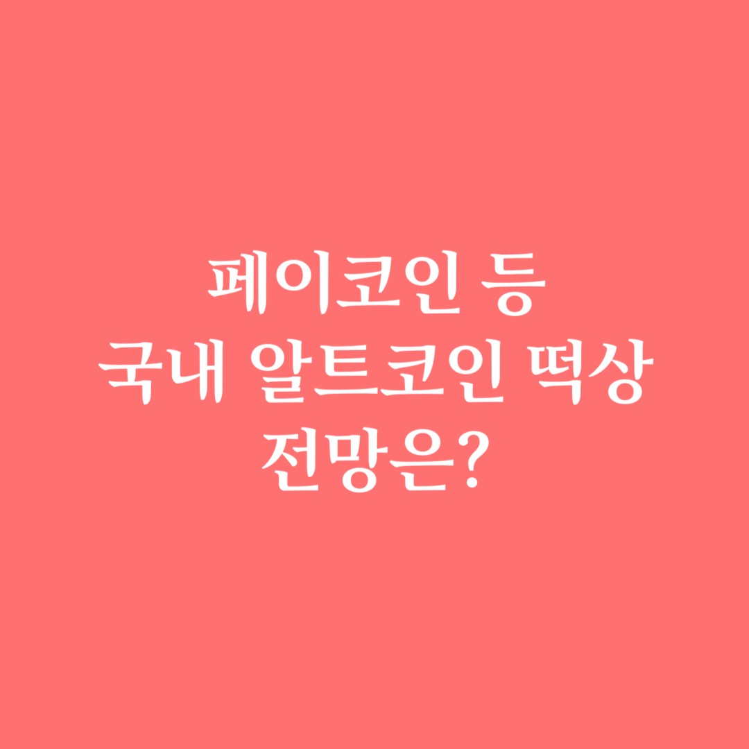  페이코인 등 국내 알트코인 떡상! 토종 코인으로 번진 비트코인 광풍