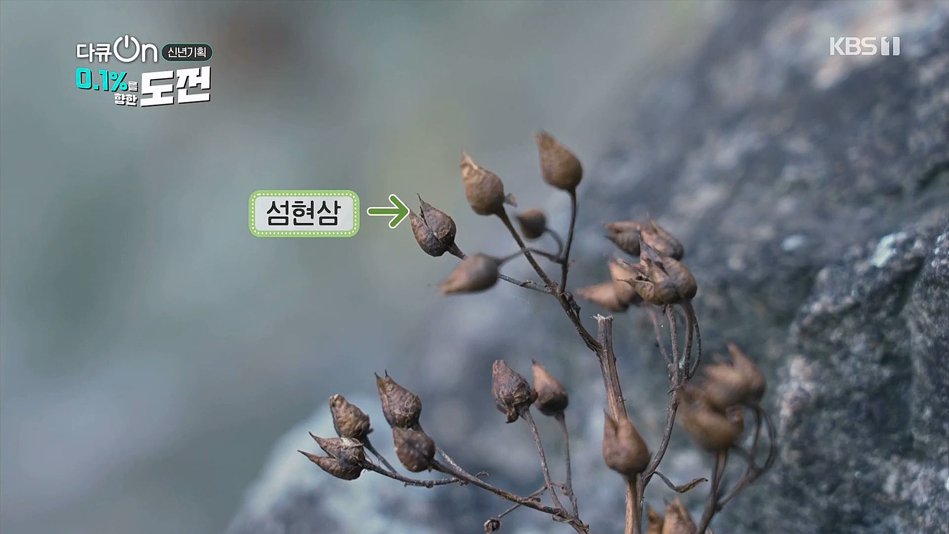 다큐 온.E184.230127p.WANNA.mp4_20230203_203840.652.jpg