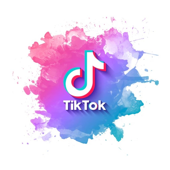 쇼츠, 릴스 플랫폼 틱톡