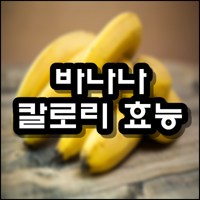  바나나 칼로리 효능에 대해