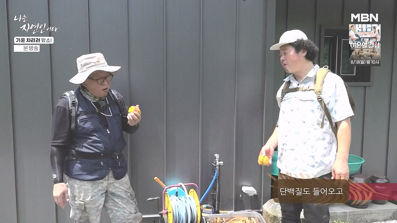 나는 자연인이다.E617.240808p-NEXT.mp4_20240808_195042.599.jpg