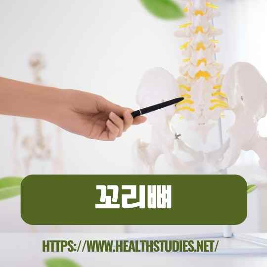 꼬리뼈 통증-사진-3