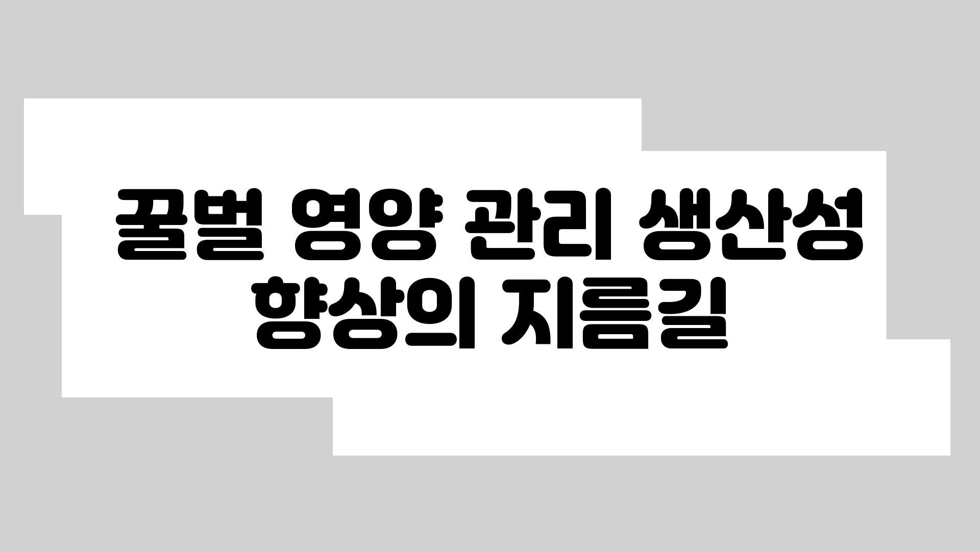 꿀벌 영양 관리 생산성 향상의 지름길