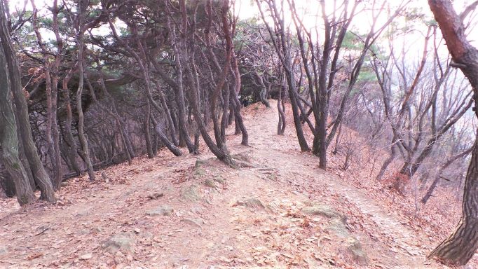 송림길&#44; 하산 내리막길&#44; 소복소복 쌓인 솔잎&#44; 수북수북한 갈잎&#44;