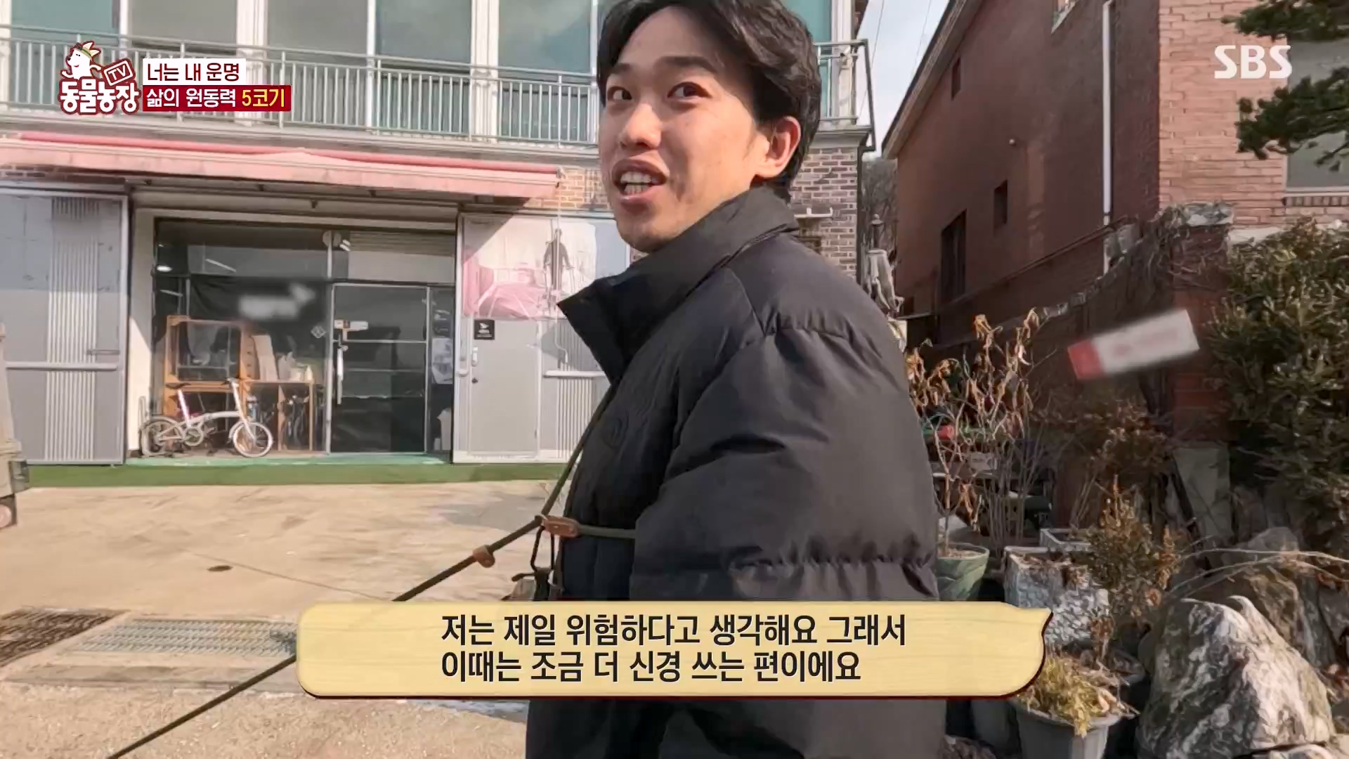 TV 동물농장.E1161.240303p-NEXT.mp4_20240303_172248.359.jpg