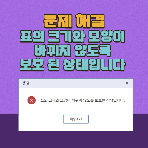 표-크기-고정-문제-해결