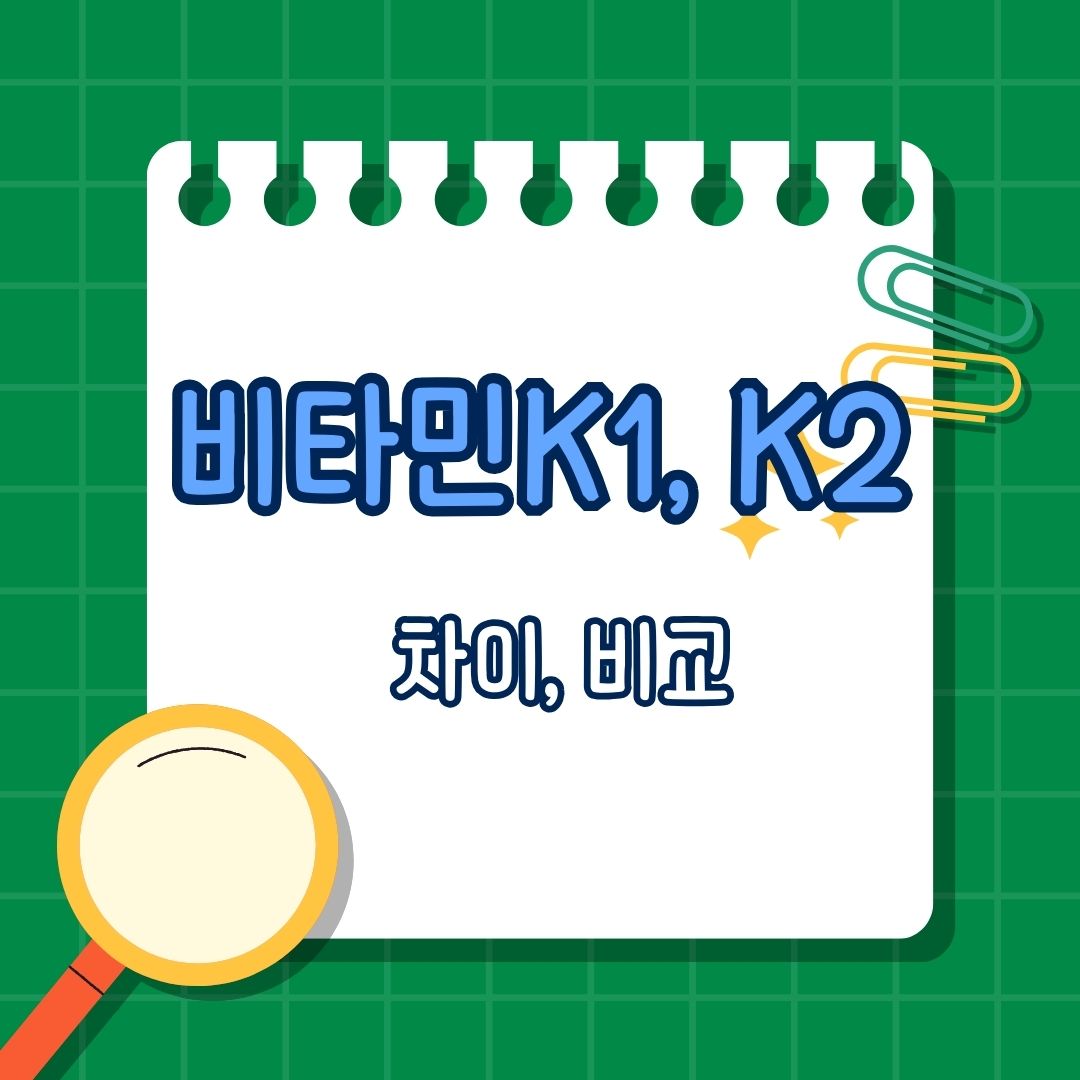 비타민K1, K2 차이 비교, 비타민 K1(필로퀴논), 비타민 K2(메나퀴논), 비타민 K1과 K2의 주요 차이점, 비타민 K1과 K2의 건강 효능 비교, 비타민 K1과 K2의 섭취 권장량, 비타민K1과 K2의 보충제 사용
