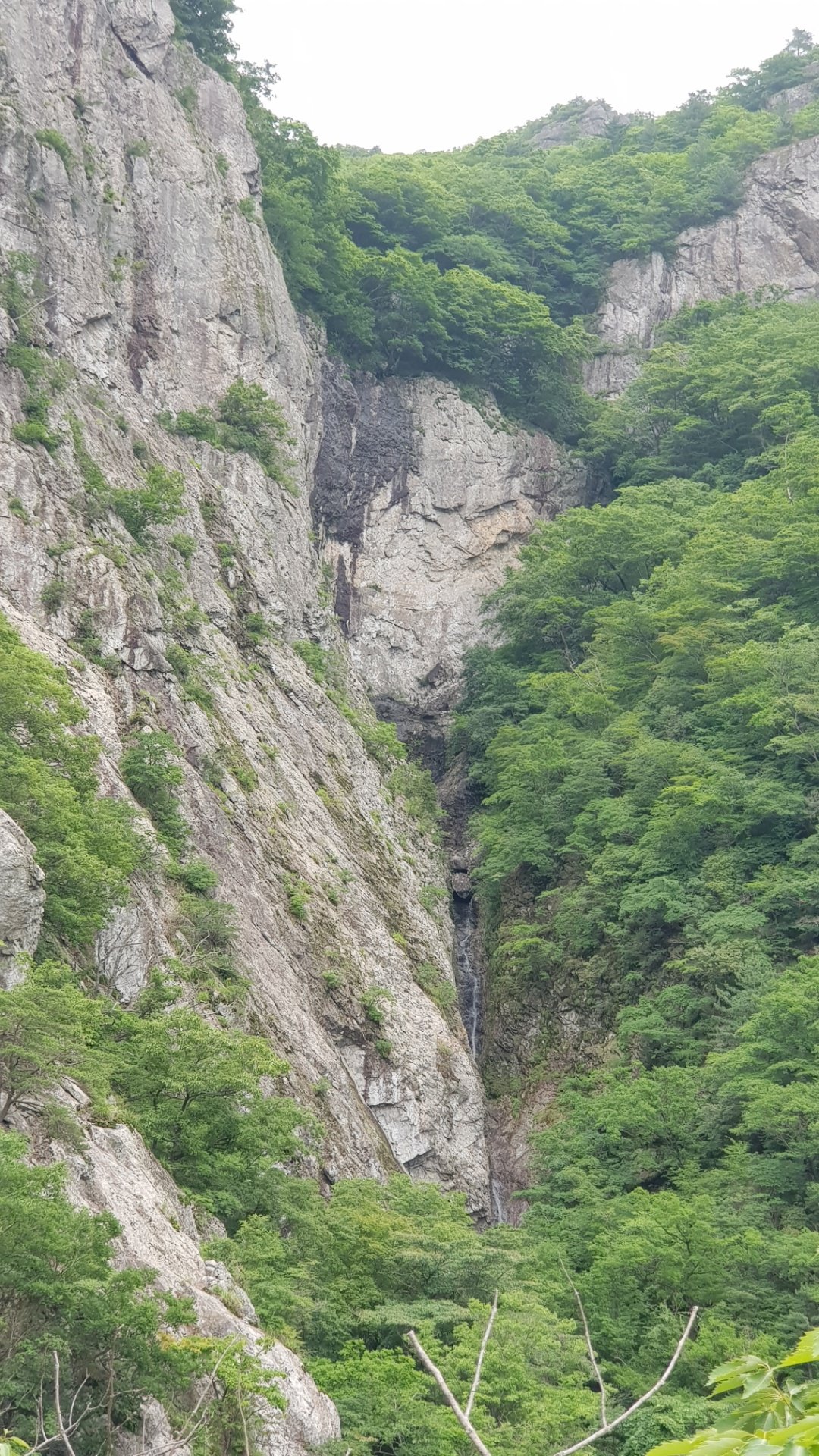 영남알프스 밀양 재약산 돈릿지