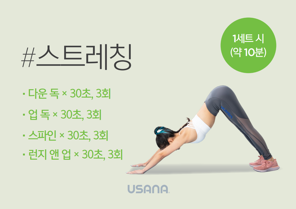  28일 다이어트 : 스트레칭+ 4주차 워크아웃