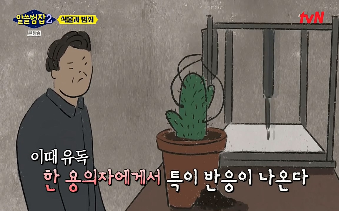 알쓸범잡 2.E15.220425p-NEXT.mp4_20220425_174850.064.jpg