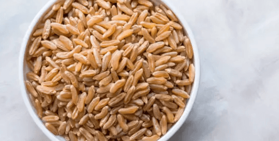 카무트 쌀