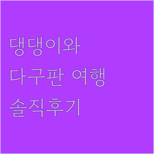 반려견과 함께하는 다구판 여행 래그타