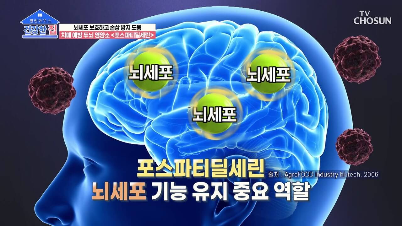 포스파티딜세린 효능