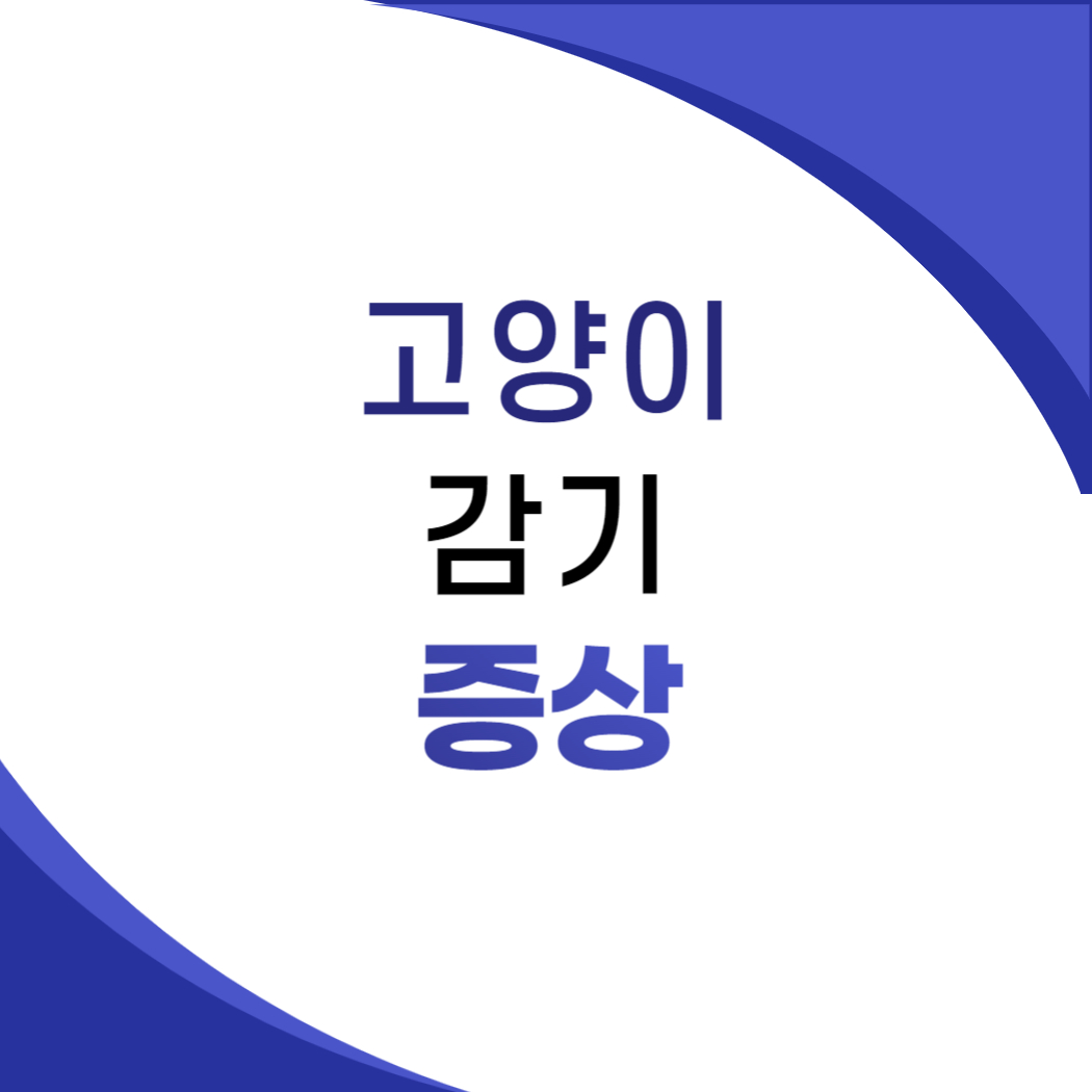 고양이 감기 증상