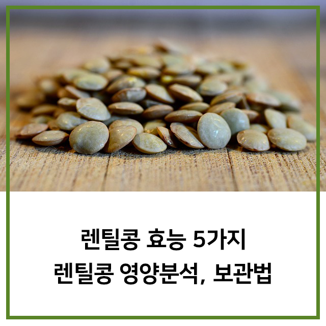 렌틸콩 효능, 보관법, 영양