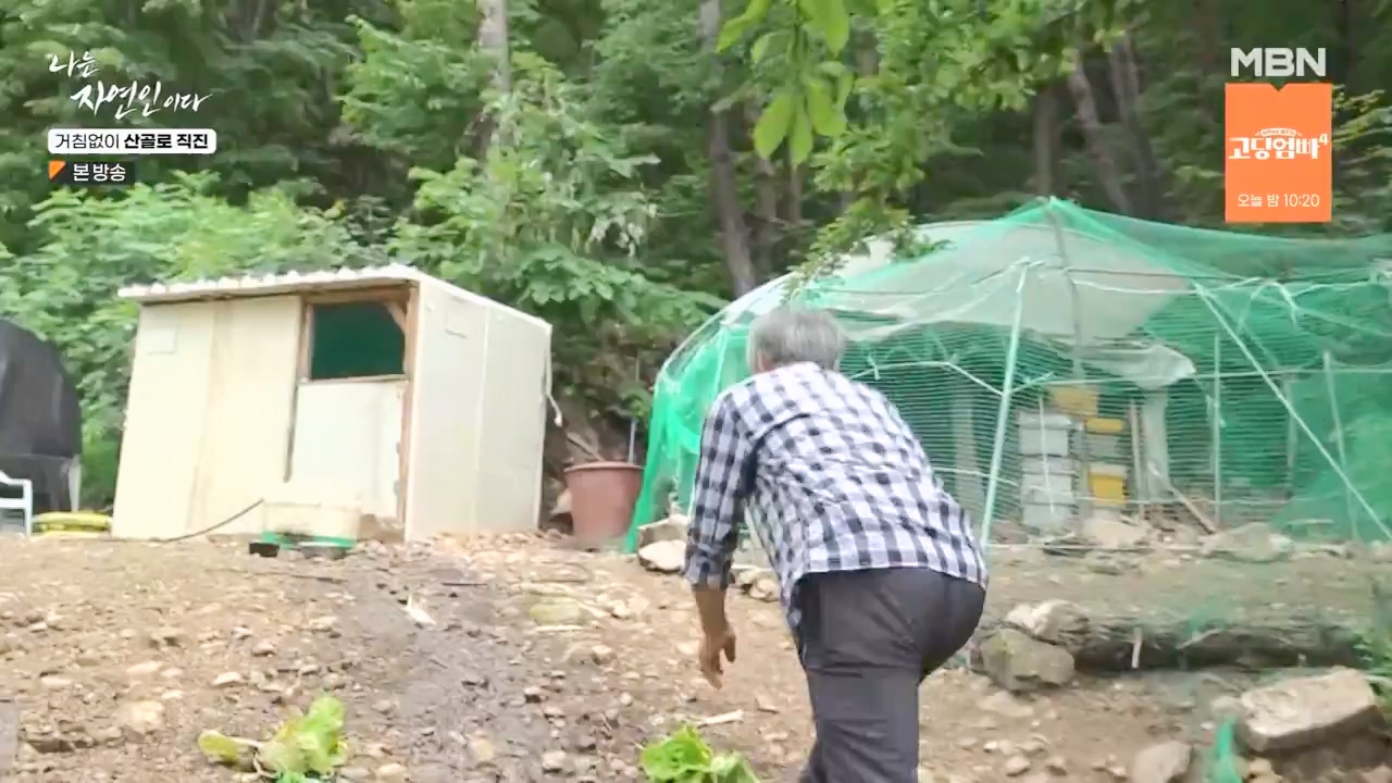 나는 자연인이다.E564.230727p-NEXT.mp4_20230727_211934.173.jpg