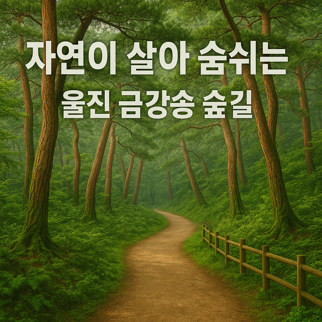 울진 금강송 숲길, 하루 80명만 허락된 힐링의 성지