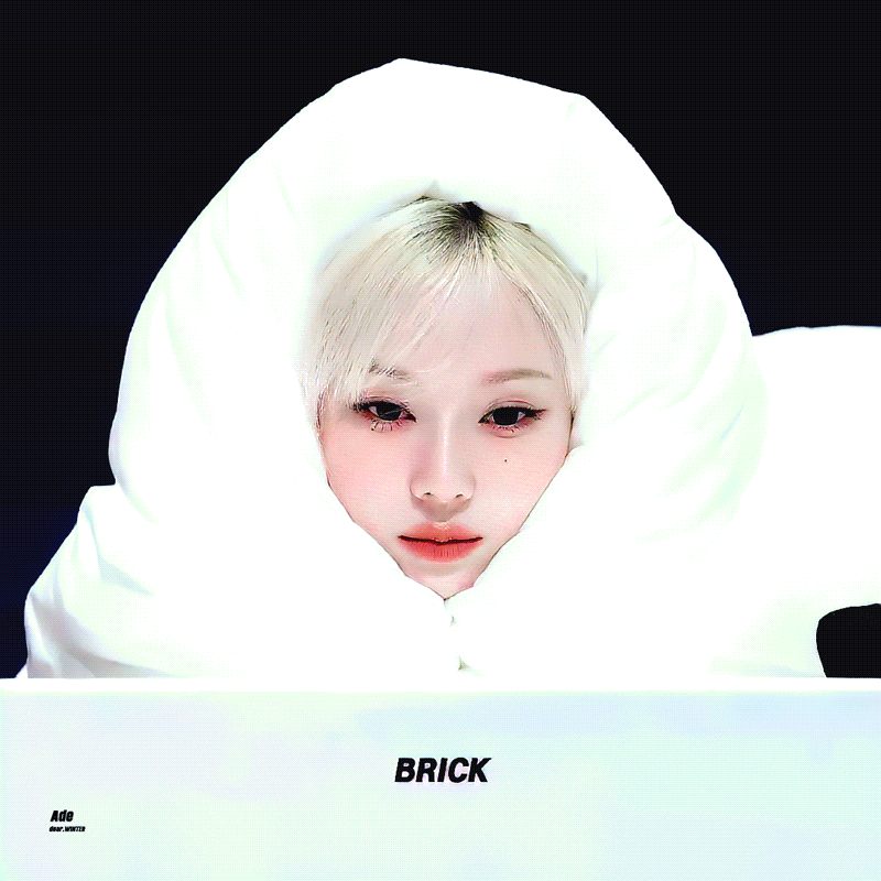 img.gif