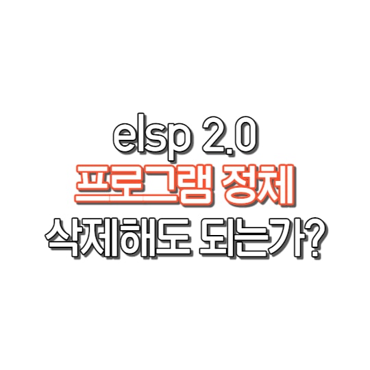  elsp 2.0 삭제해도 될까? 프로그램의 정체는?