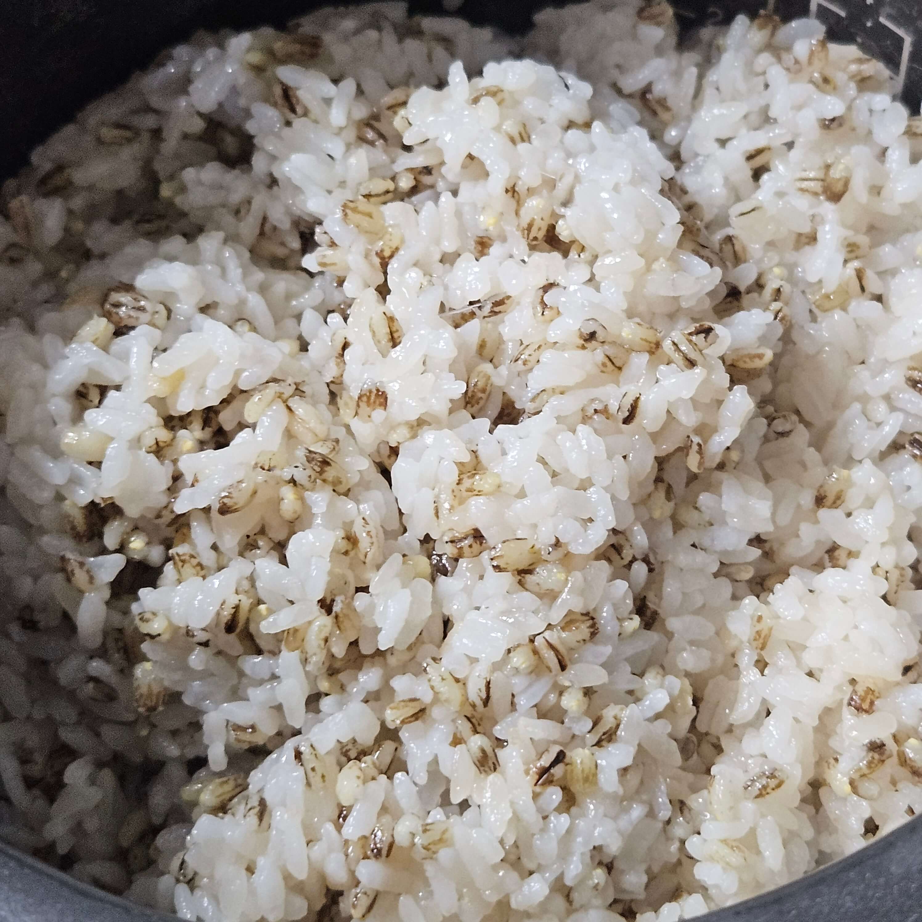 흑보리쌀 효능