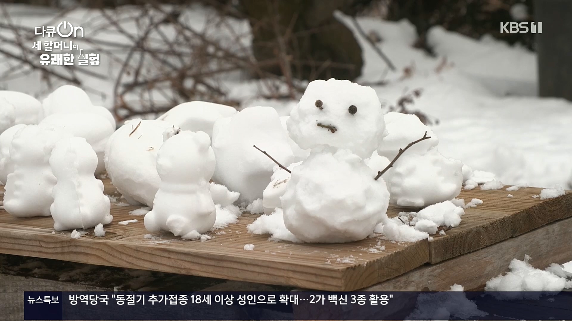 다큐 On.E166.221028p.H264-F1RST.mp4_20221031_194354.837.jpg