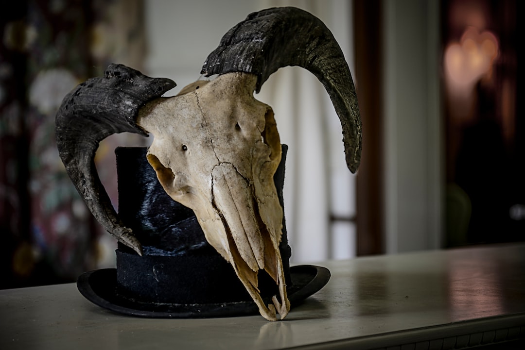 Bone