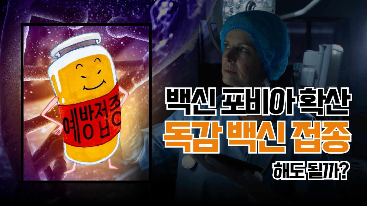  백신포비아 확산 : 독감 백신 접종, 해도 될까?