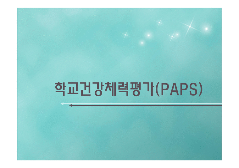 PAPS(팝스) 기준표 총정리