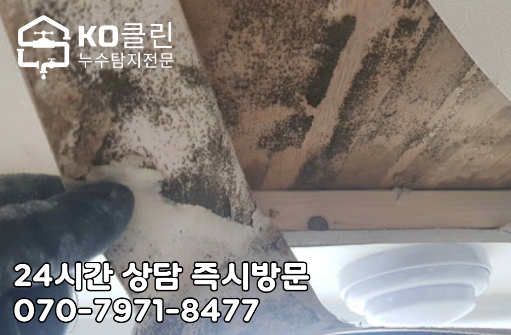 잠실동 누수 탐지4