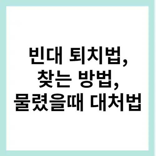 빈대 퇴치법