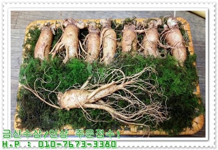 금산인삼직판장 이미지