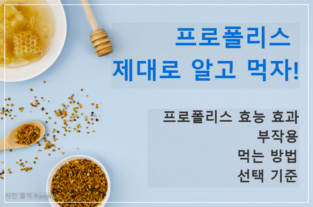  프로폴리스 총정리 : 프로폴리스 효능 효과, 부작용, 복용법, 고르는 법