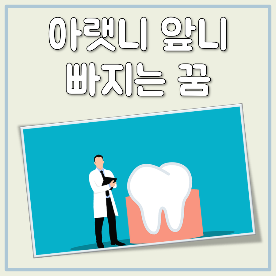 아랫니 앞니 빠지는 꿈 해몽 대표 이미지