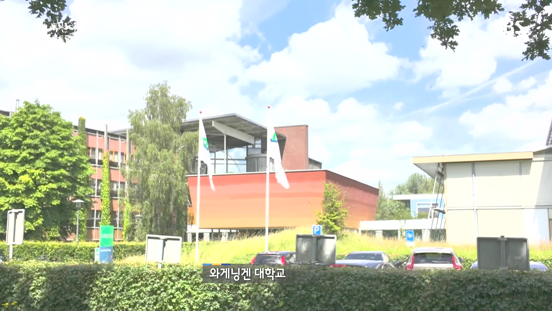 일요 특선 다큐멘터리.E348.240804p.H264-F1RST.mp4_20240805_200845.404.jpg